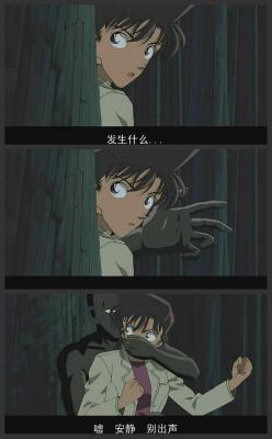 名侦探柯南：迷宫的十字路口剧照的剧照