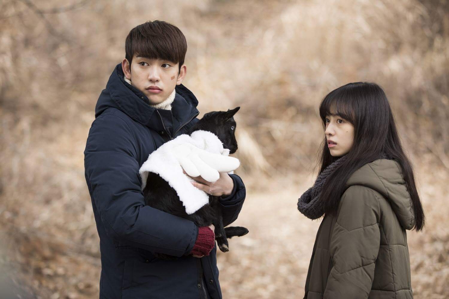 雪花剧照的剧照