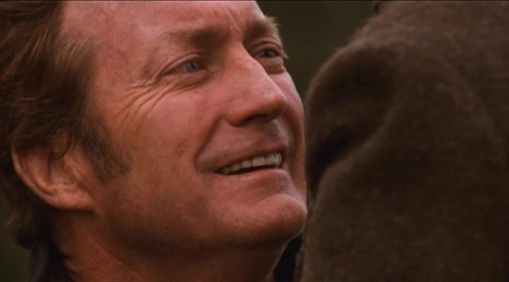 人熊传奇剧照的剧照