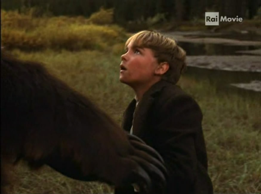 人熊传奇剧照的剧照