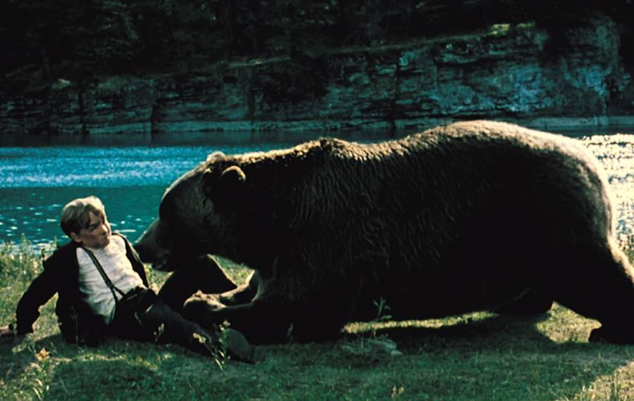 人熊传奇剧照的剧照