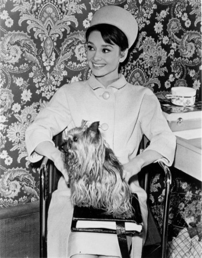 谜中谜剧照的剧照