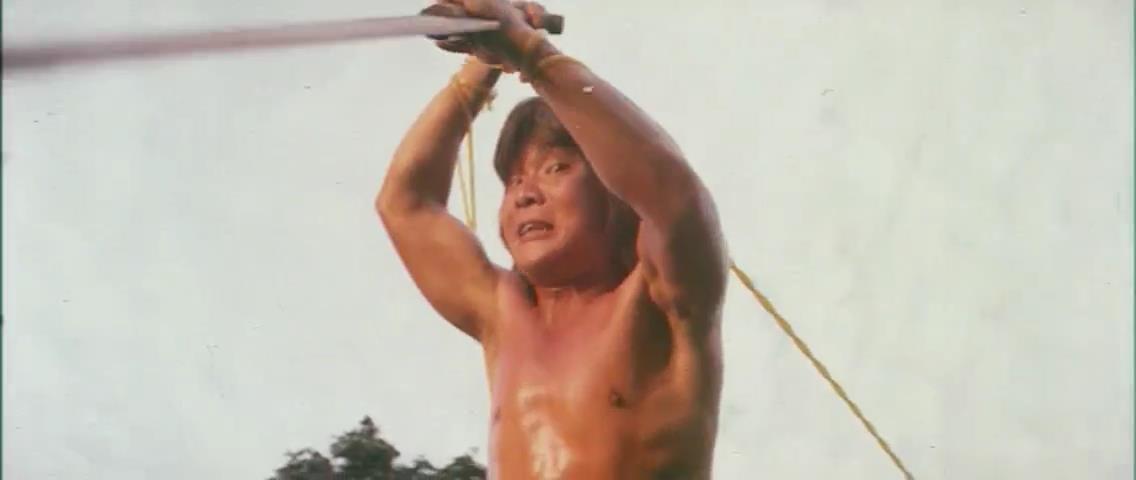 龙虎门剧照的剧照