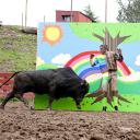 蠢蛋搞怪秀3D剧照