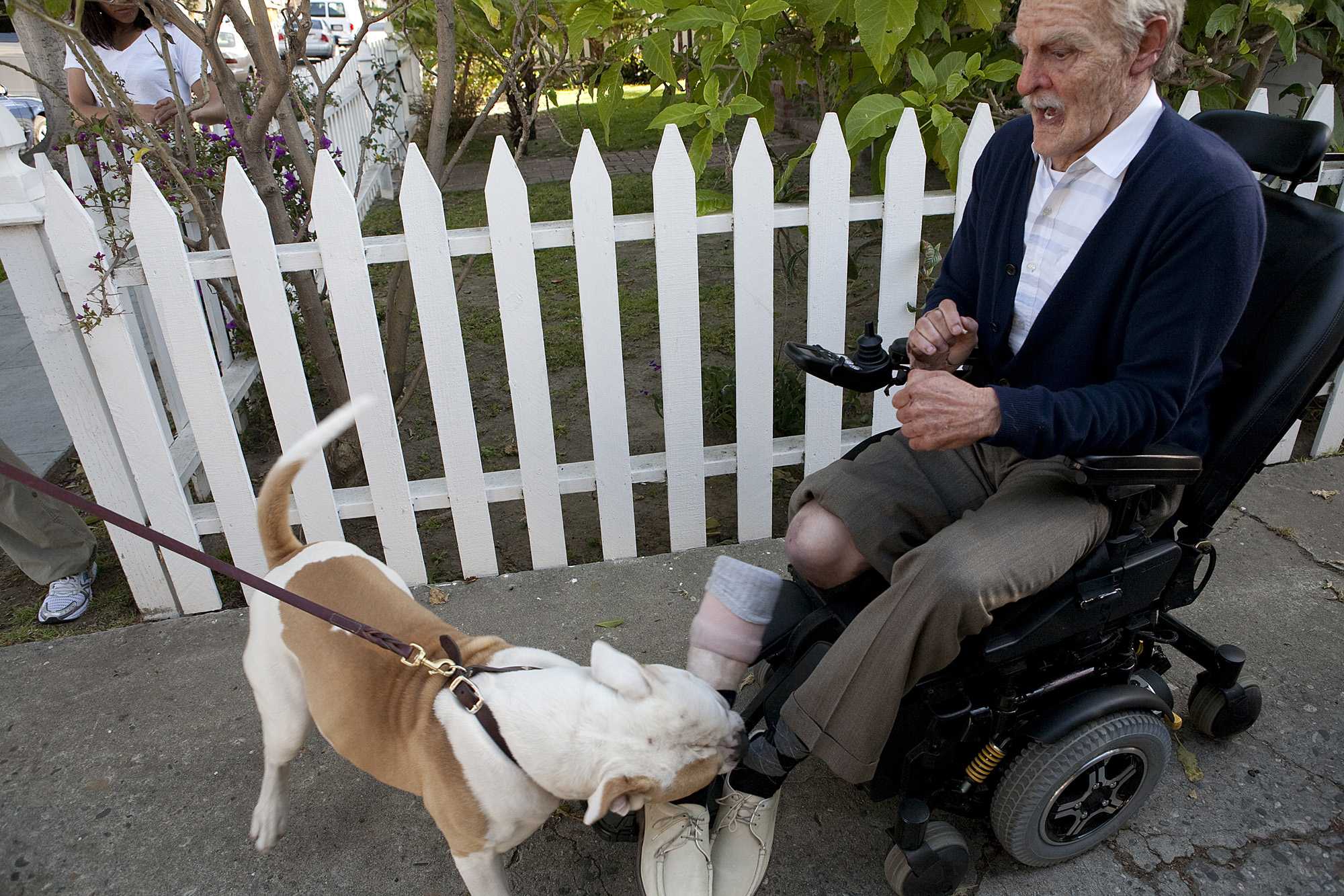 蠢蛋搞怪秀3D剧照的剧照