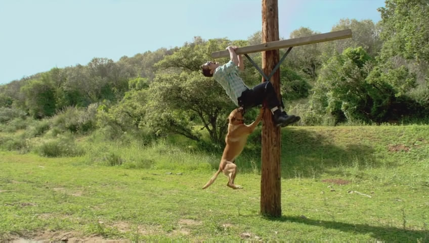 蠢蛋搞怪秀3D剧照的剧照