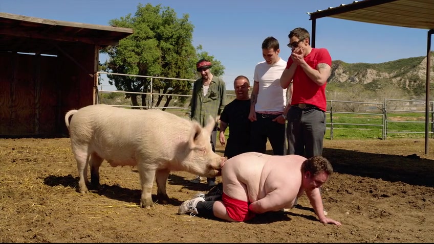 蠢蛋搞怪秀3D剧照的剧照