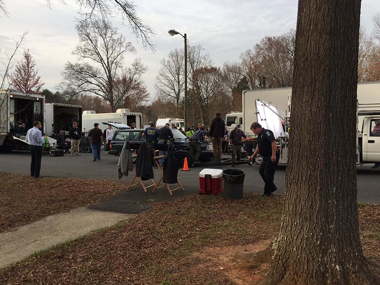 美国动物剧照的剧照