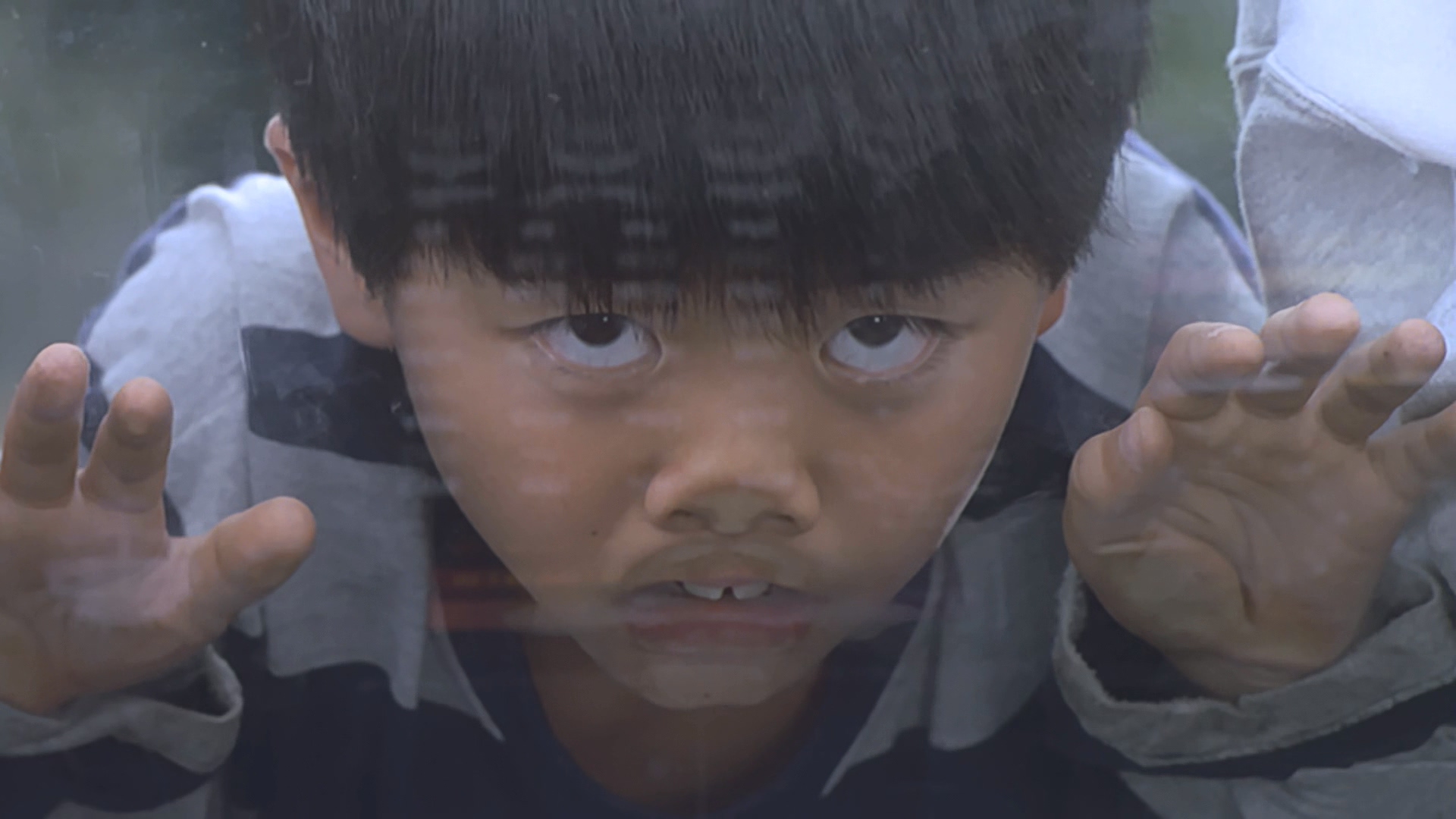 迪迦&戴拿&盖亚·奥特曼 超时空的大决戦剧照的剧照