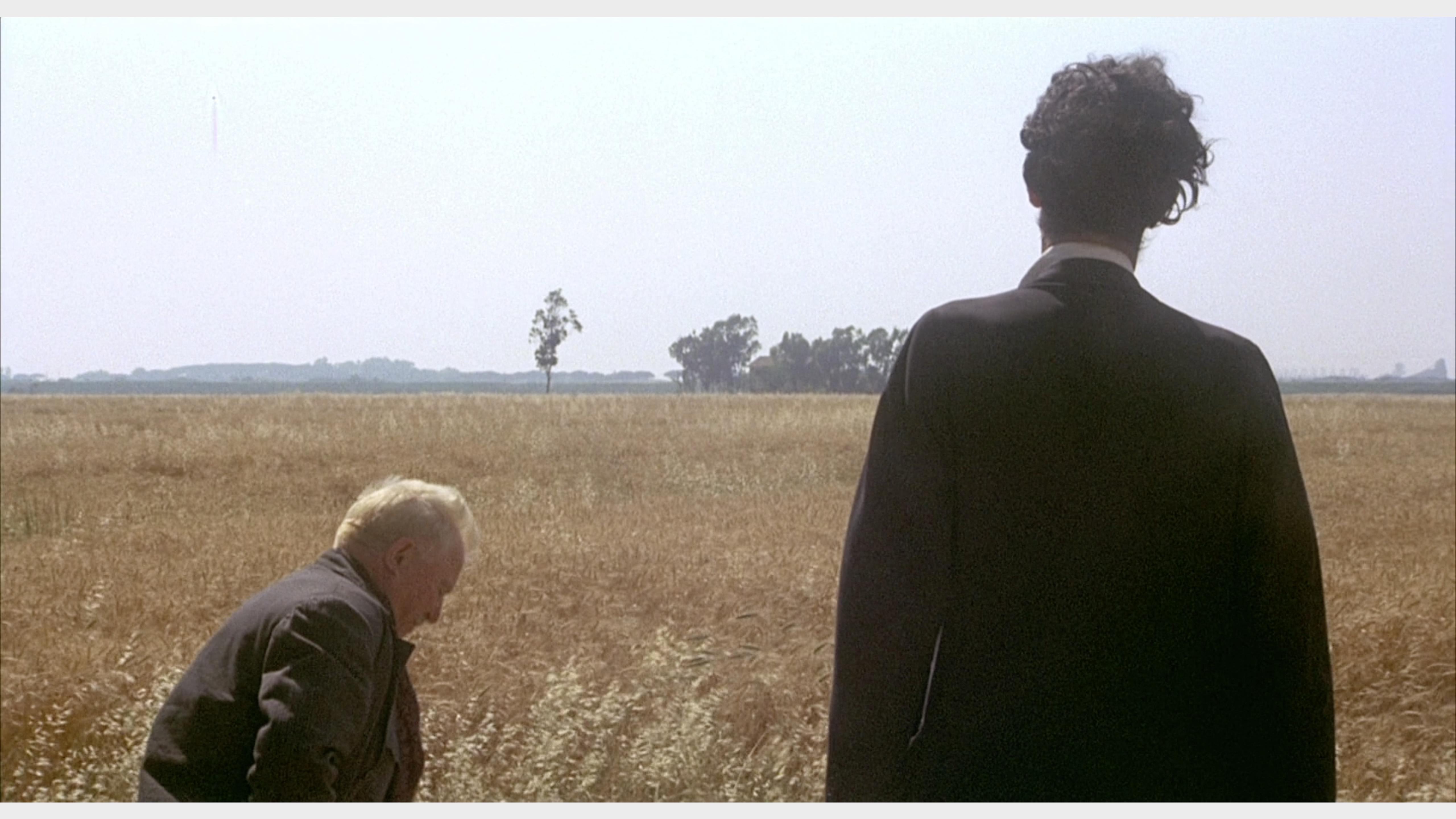 阿玛柯德剧照的剧照