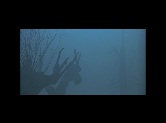 阿玛柯德剧照的剧照