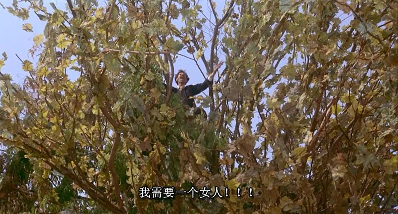 阿玛柯德剧照的剧照