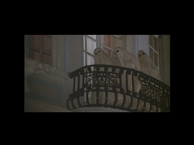 阿玛柯德剧照的剧照