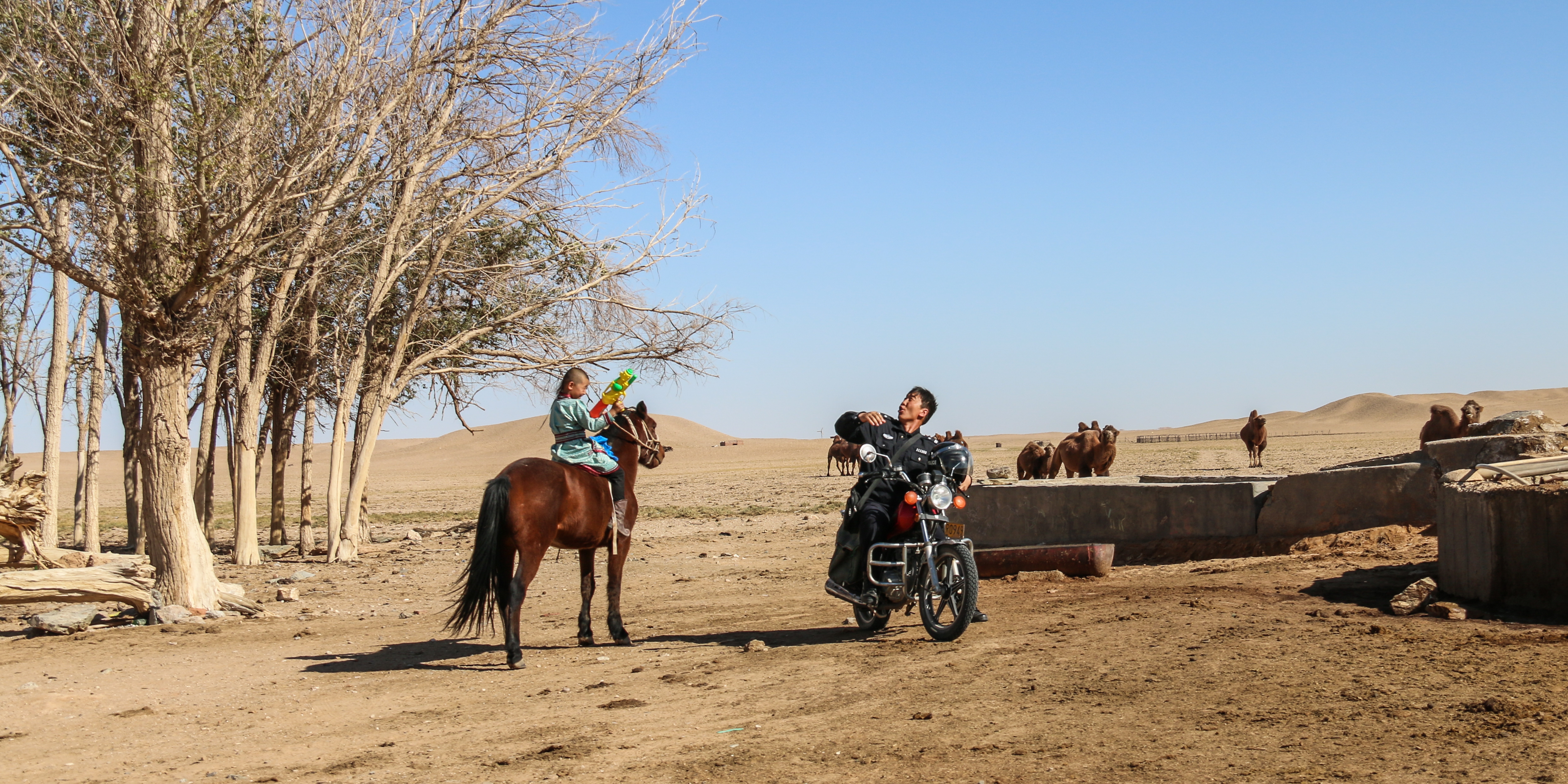 片警宝音剧照的剧照