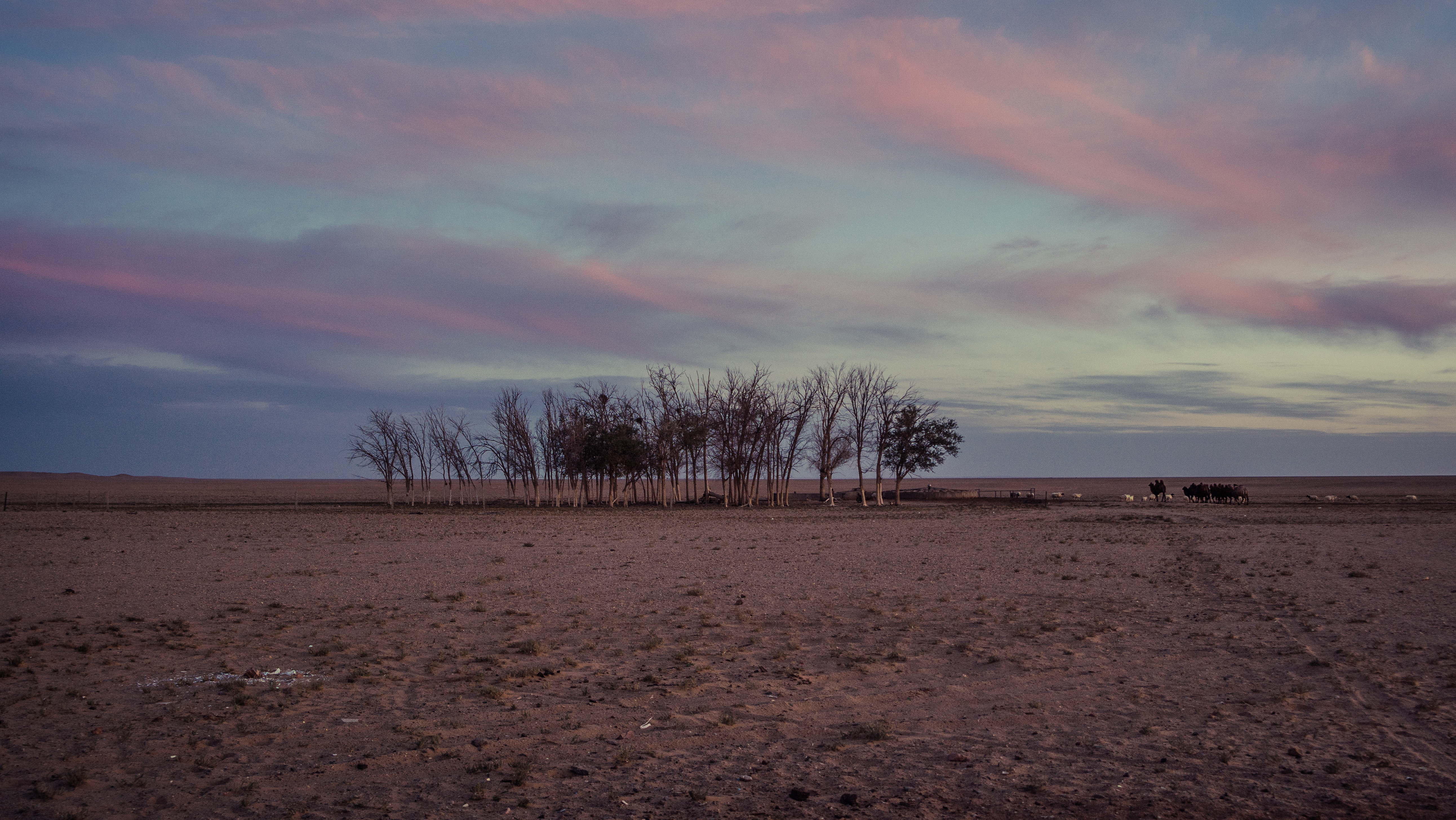 片警宝音剧照的剧照