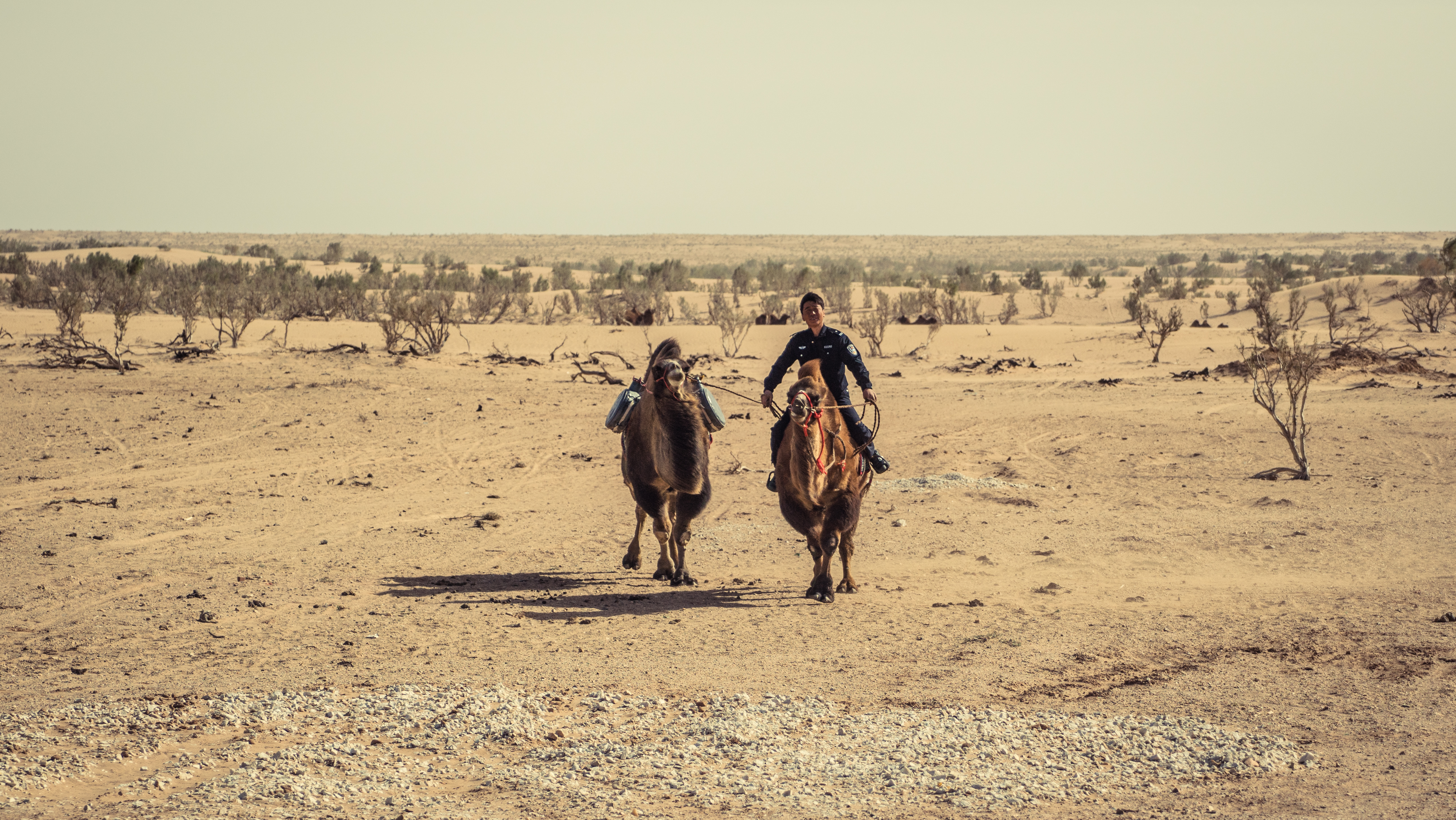 片警宝音剧照的剧照