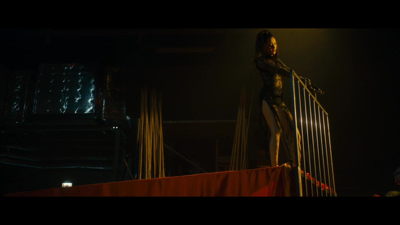 鼹鼠之歌2：香港狂骚曲剧照的剧照