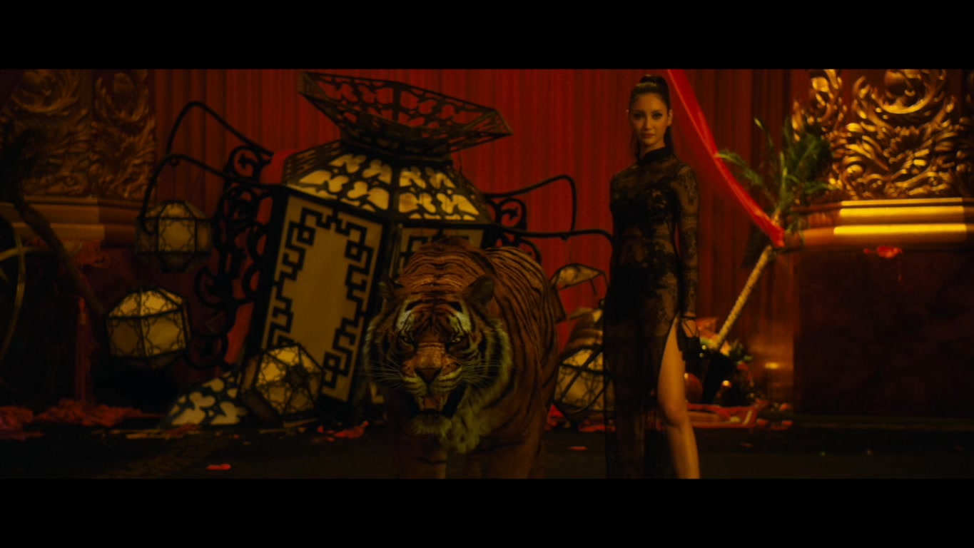 鼹鼠之歌2：香港狂骚曲剧照的剧照