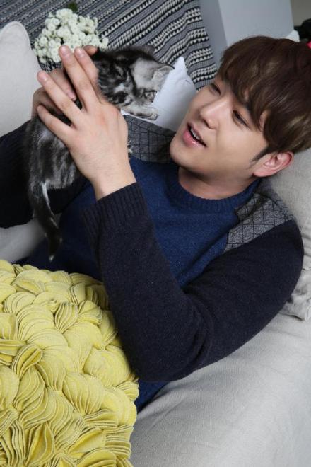 猫的葬礼剧照的剧照