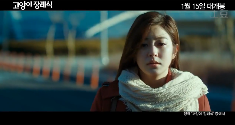 猫的葬礼剧照的剧照