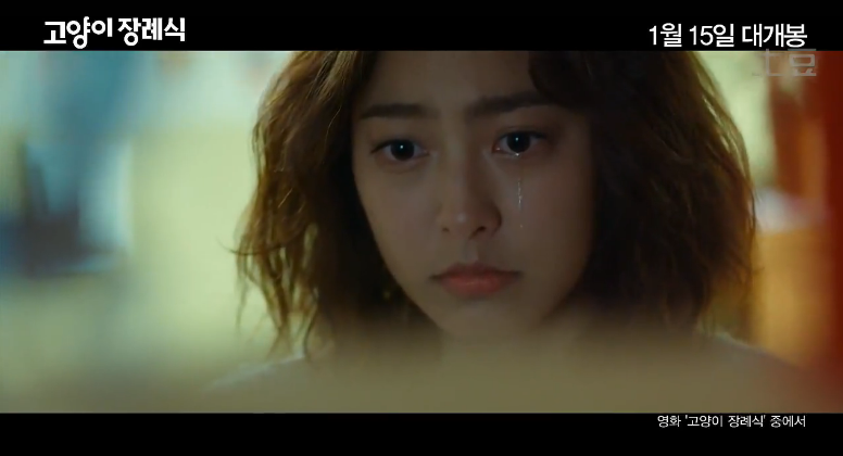 猫的葬礼剧照的剧照