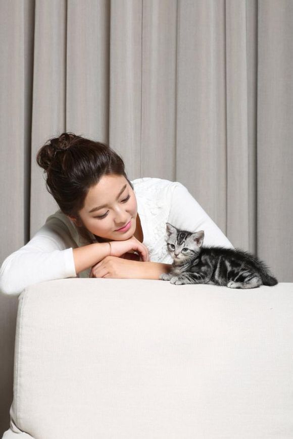 猫的葬礼剧照的剧照