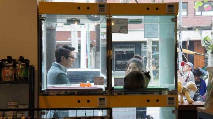 猫的葬礼剧照的剧照