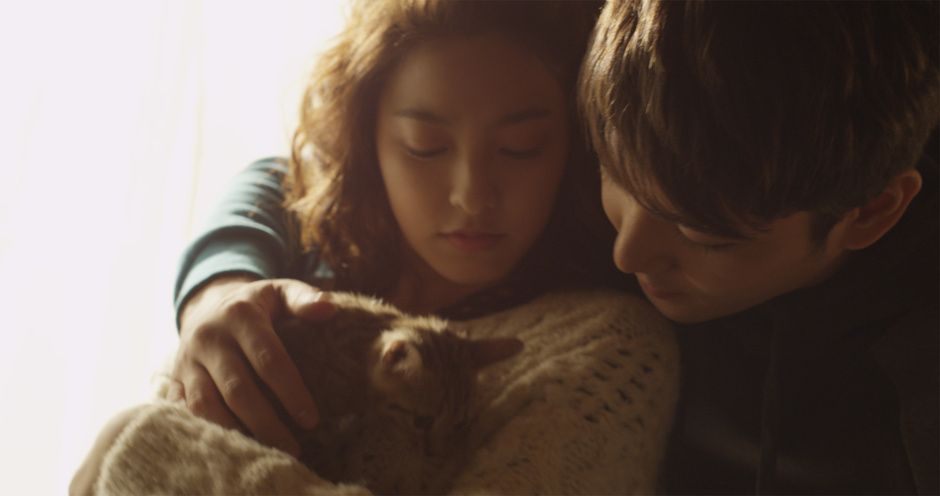 猫的葬礼剧照的剧照