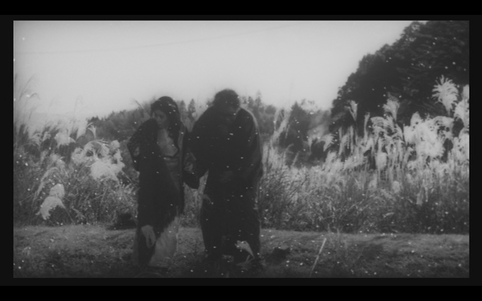 黑雨剧照的剧照