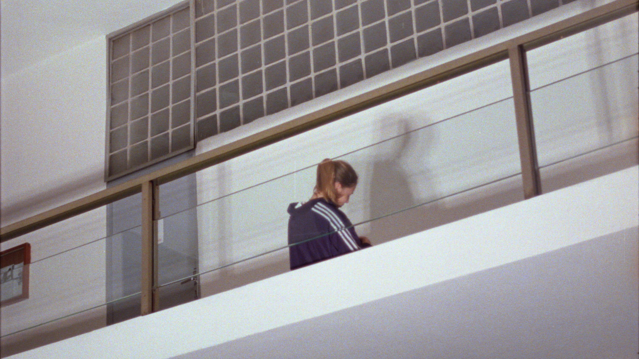 莫奈尔剧照的剧照