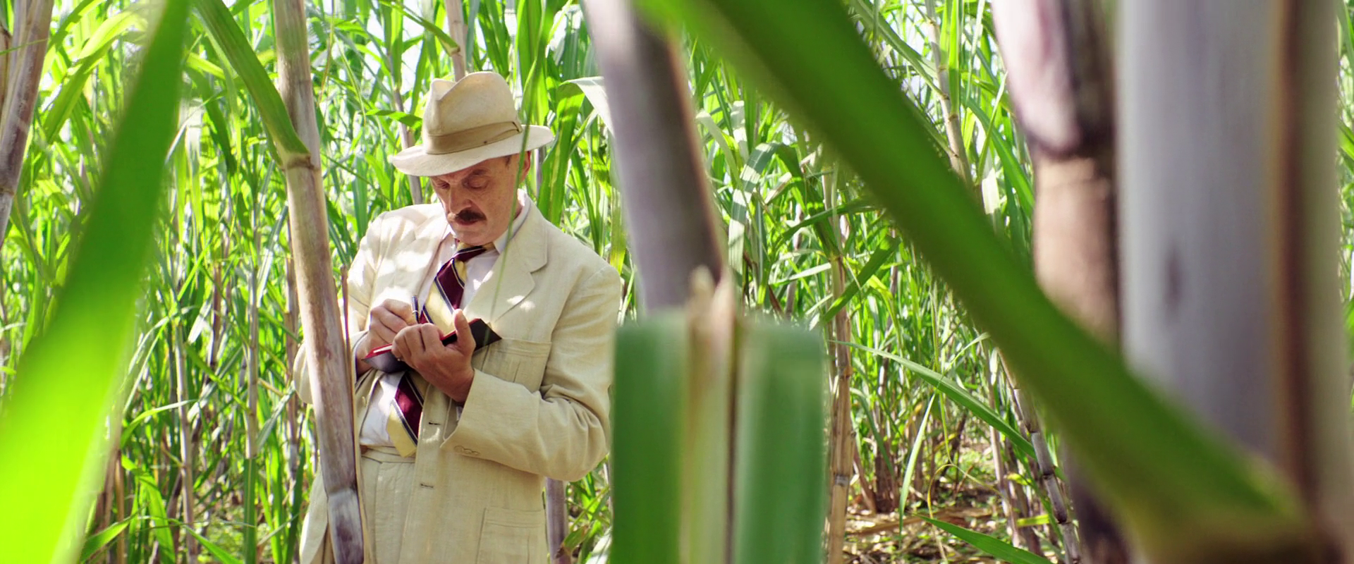 黎明之前剧照的剧照