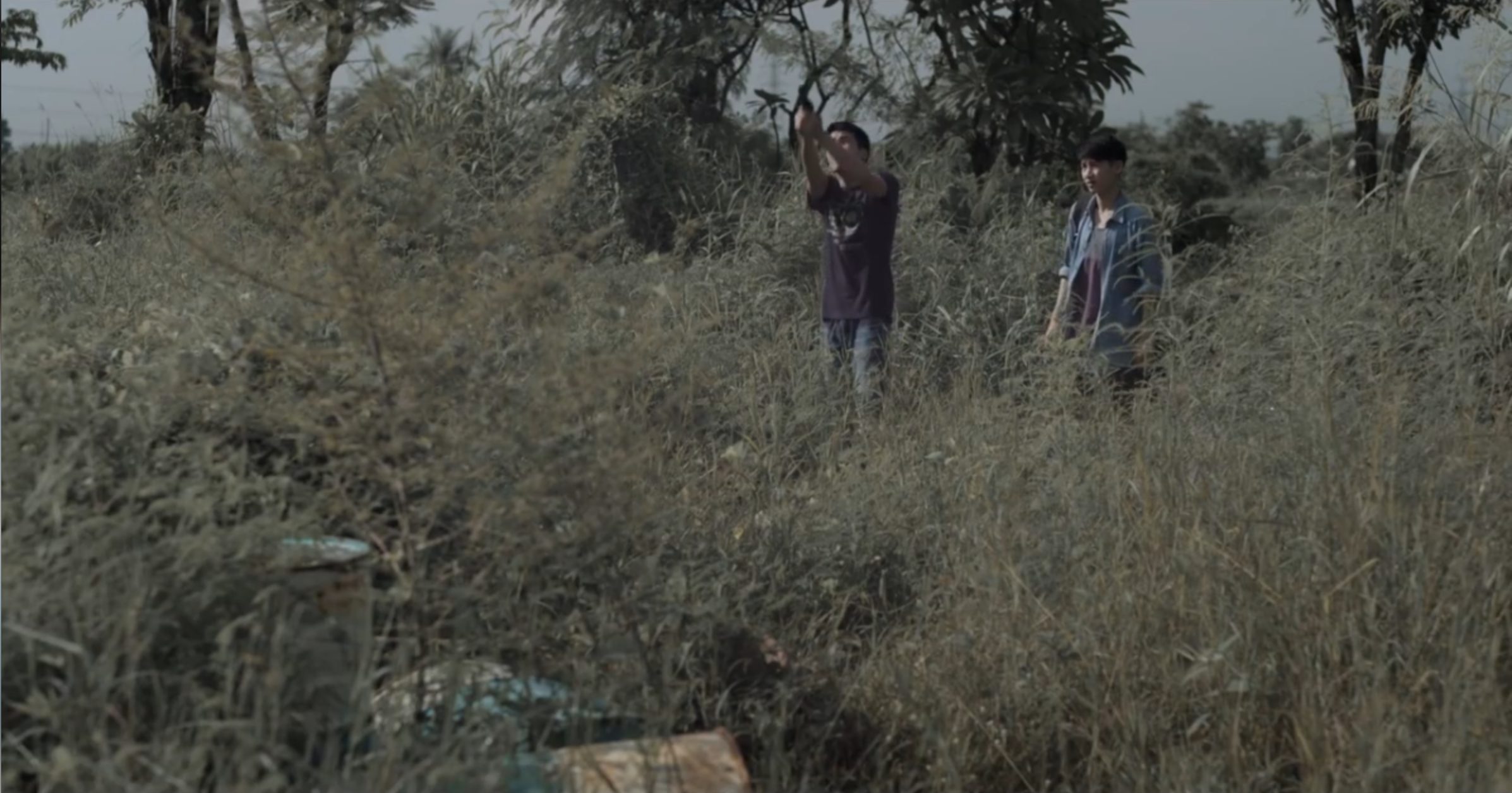 蓝色时分剧照的剧照