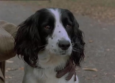 肖斯德姆别墅剧照的剧照