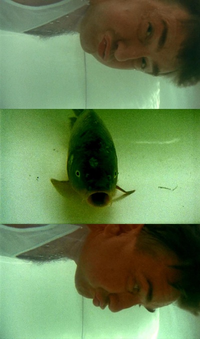 甜蜜的永远剧照的剧照