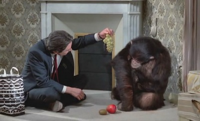 马克斯我的爱剧照的剧照