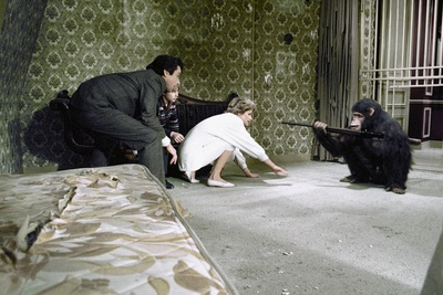 马克斯我的爱剧照的剧照