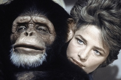 马克斯我的爱剧照的剧照