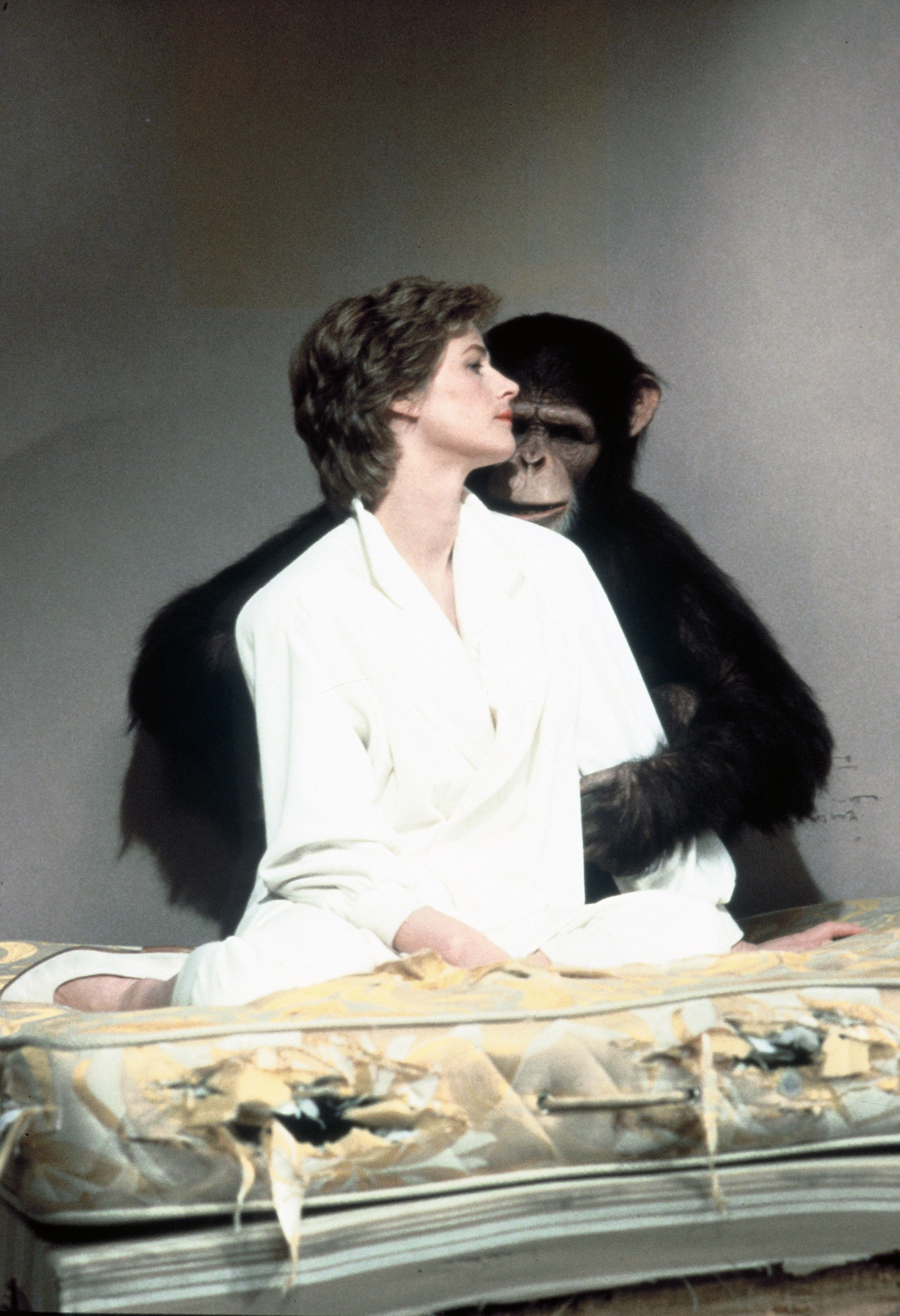 马克斯我的爱剧照的剧照