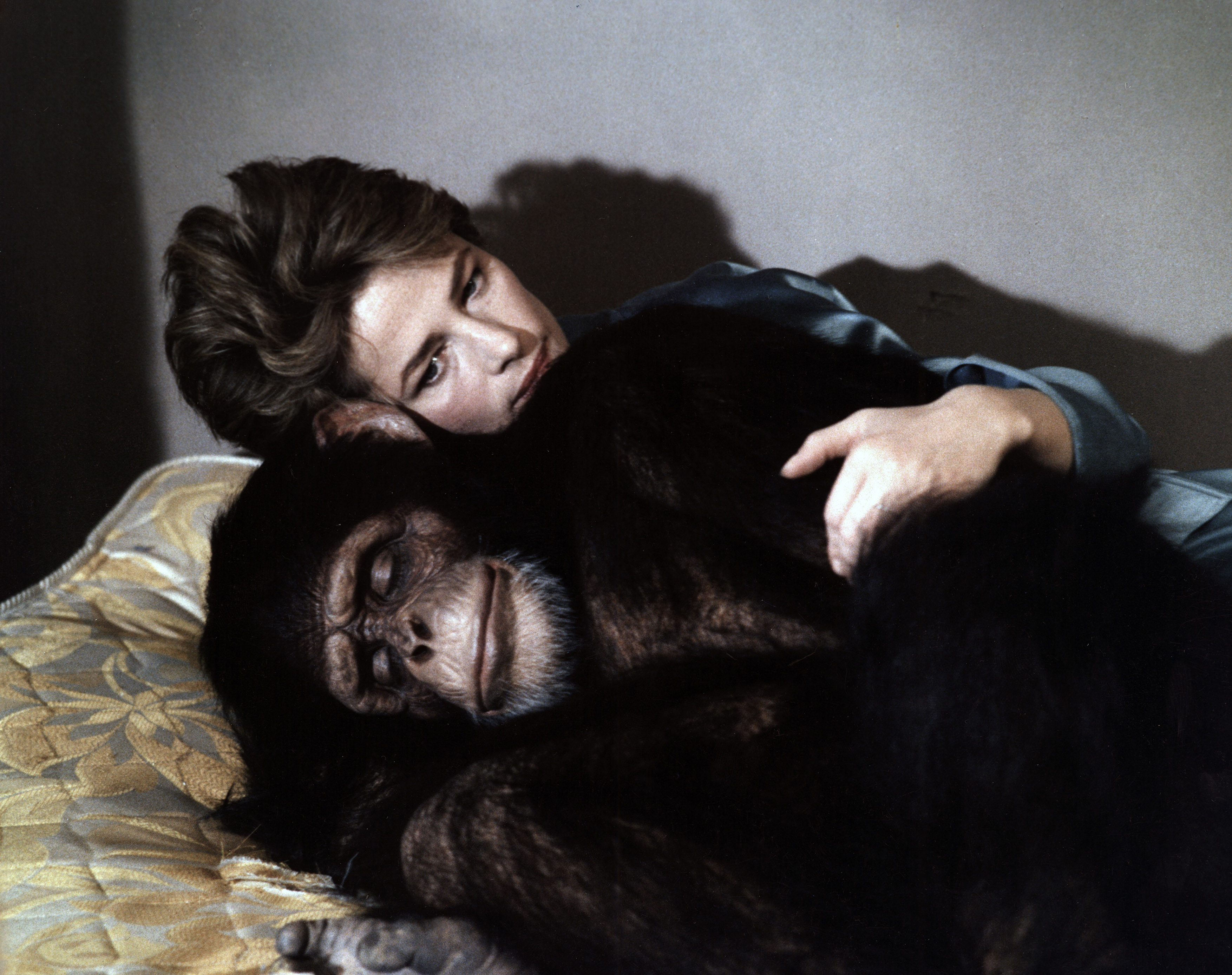 马克斯我的爱剧照的剧照