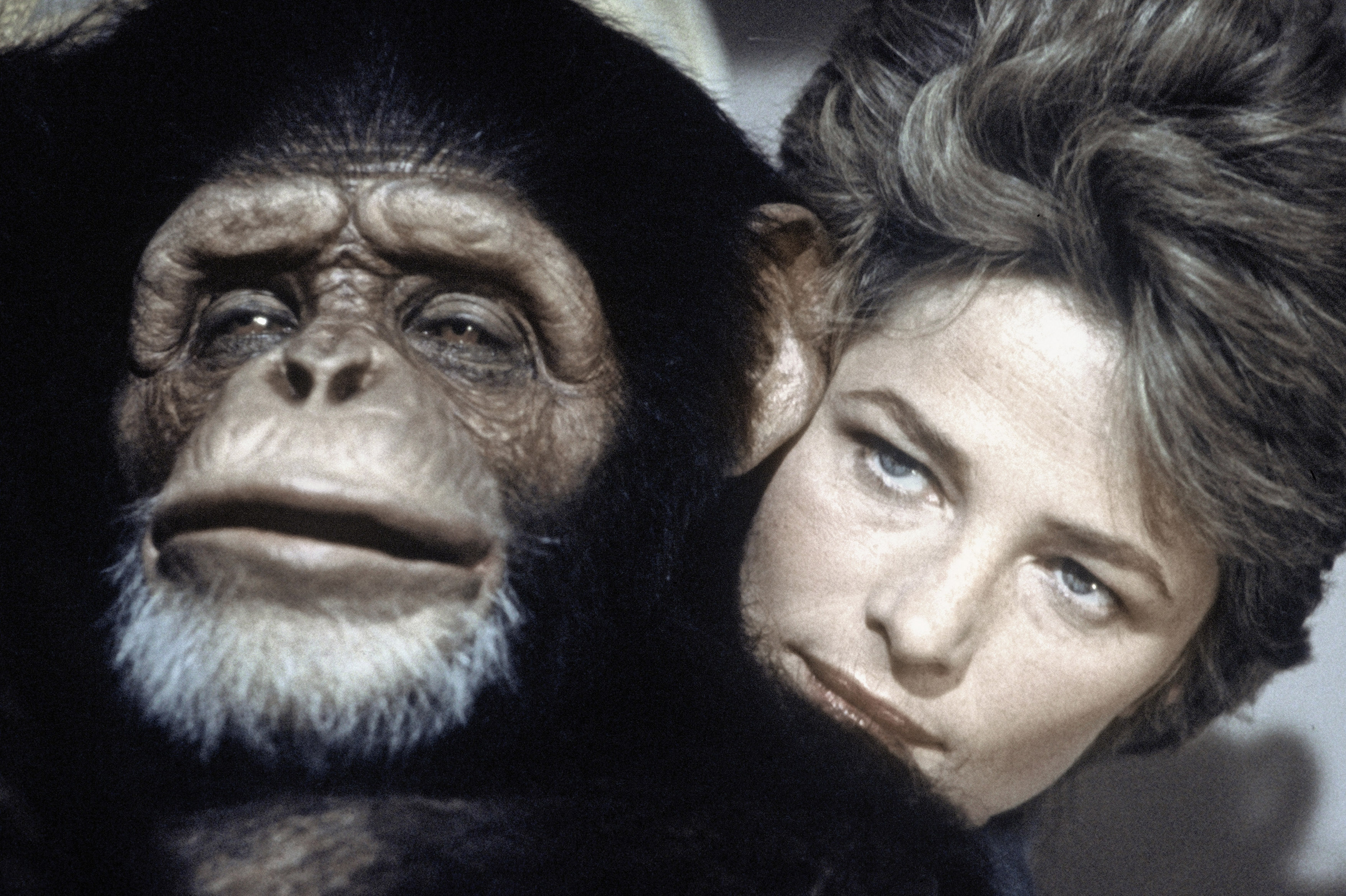 马克斯我的爱剧照的剧照