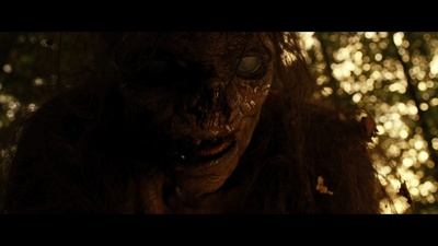 杀死希特勒与大脚怪的人剧照的剧照