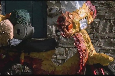 寻爱之旅剧照的剧照