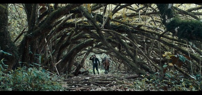 高更：爱在他乡剧照的剧照