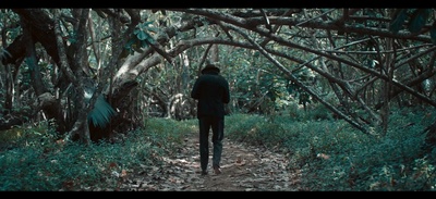 高更：爱在他乡剧照的剧照