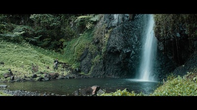 高更：爱在他乡剧照的剧照