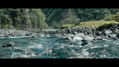 高更：爱在他乡剧照的剧照