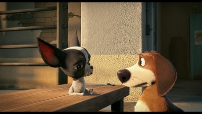 狗狗的疯狂假期剧照的剧照