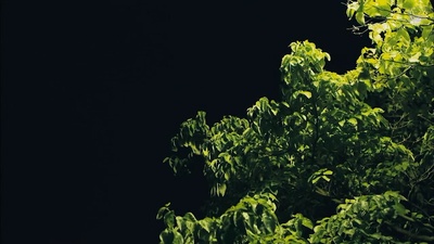 阴差阳错的女演员们剧照的剧照