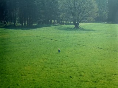 奥勃洛莫夫一生中的几天剧照的剧照