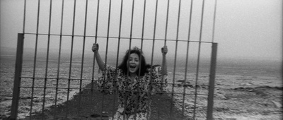 人类学入门剧照的剧照